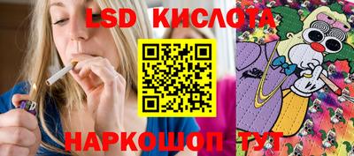 крисы Будённовск