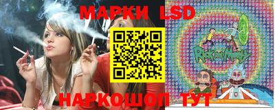 крисы Будённовск