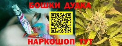 крисы Будённовск